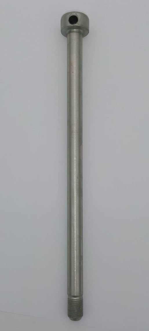 Eje posterior